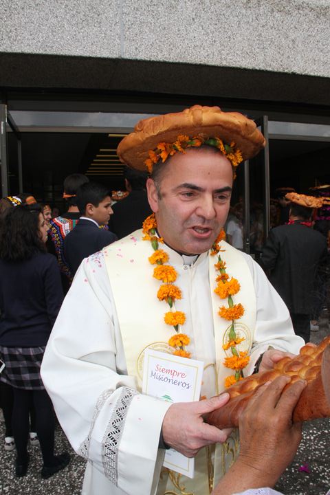 Ir a la Siguiente Foto