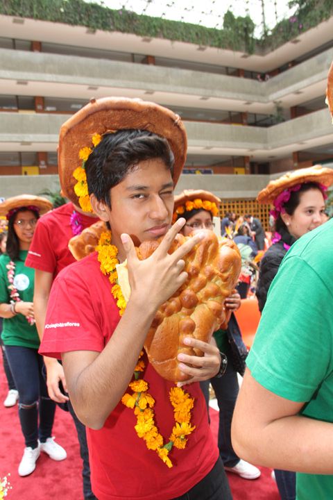 Ir a la Siguiente Foto