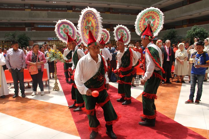 Ir a la Siguiente Foto