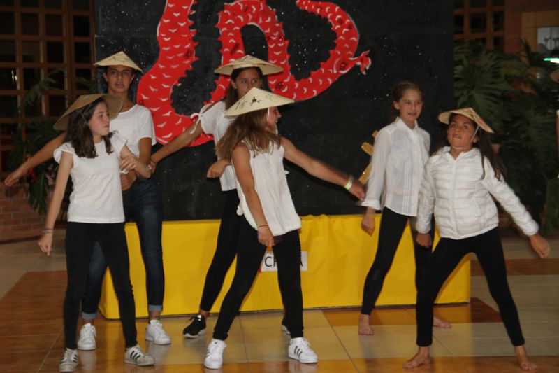 Ir a la Siguiente Foto