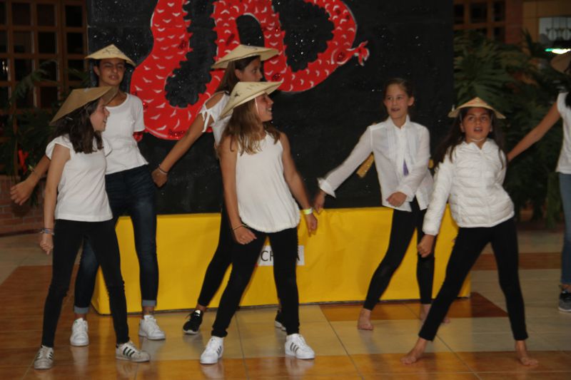 Ir a la Siguiente Foto