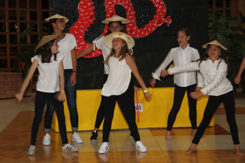 Ir a la Siguiente Foto