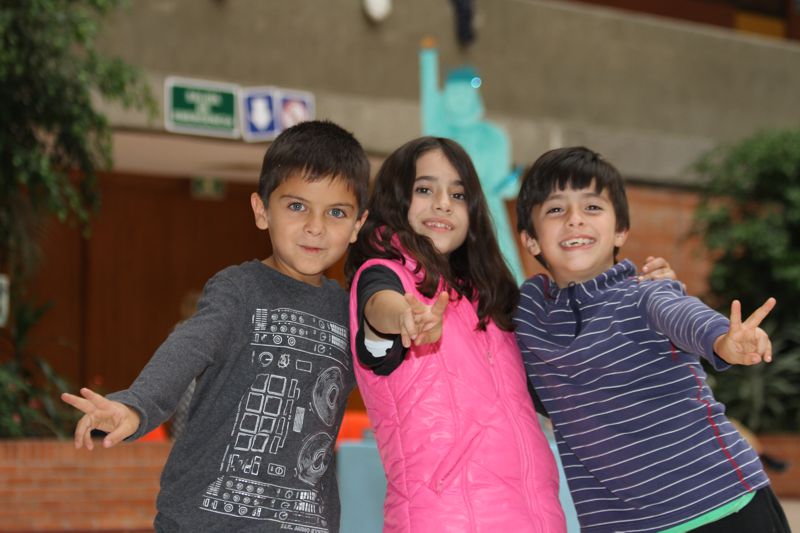 Ir a la Siguiente Foto