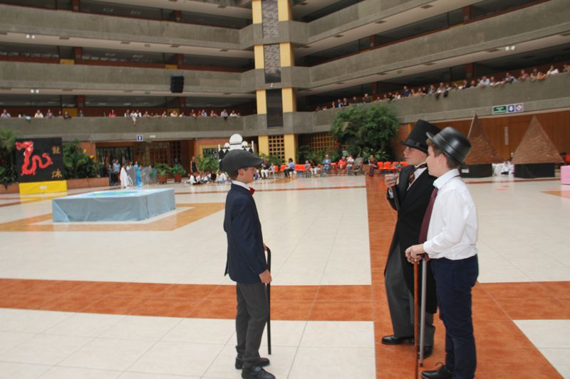 Ir a la Siguiente Foto