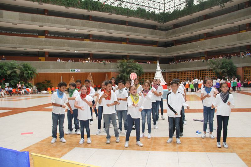 Ir a la Siguiente Foto