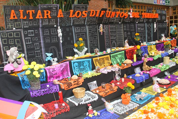 Ir a la Siguiente Foto
