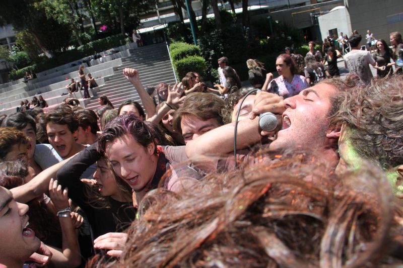 Ir a la Siguiente Foto