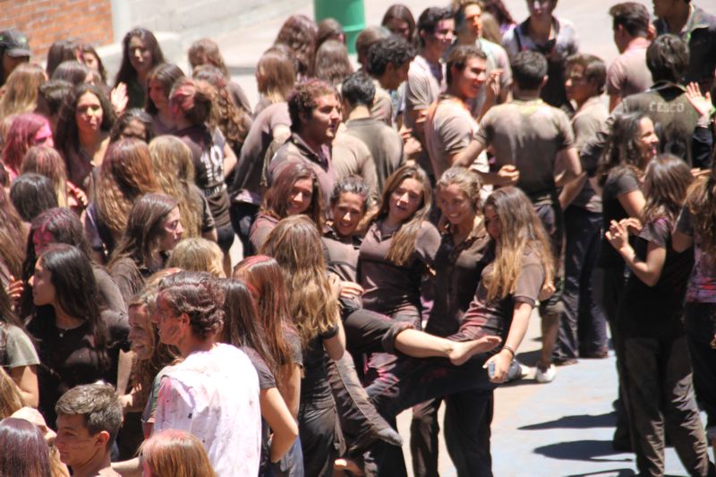 Ir a la Siguiente Foto