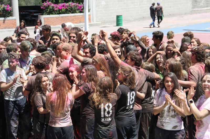 Ir a la Siguiente Foto