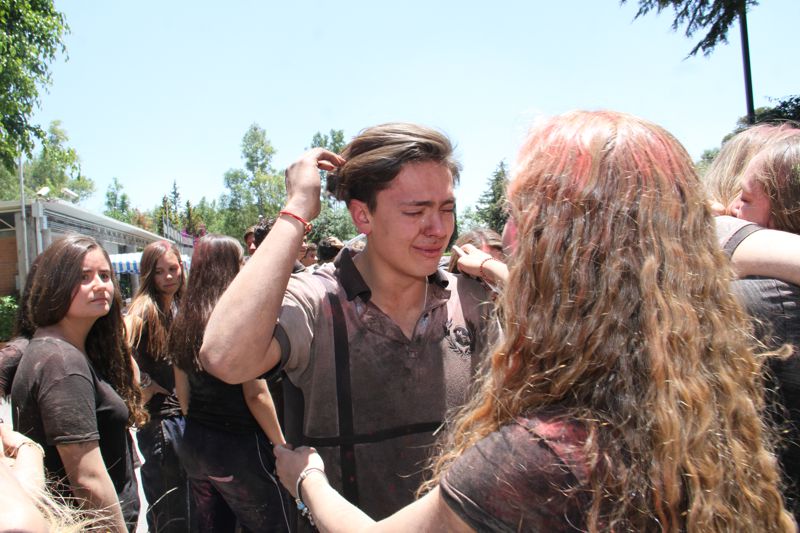 Ir a la Siguiente Foto