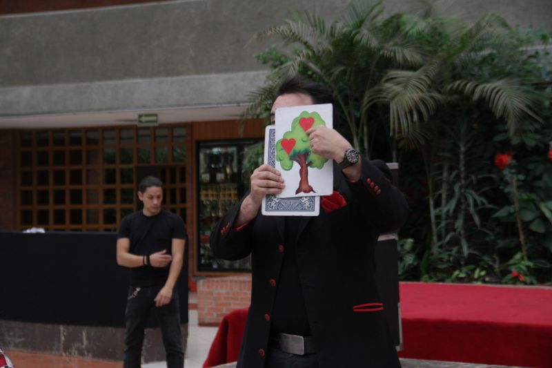 Ir a la Siguiente Foto