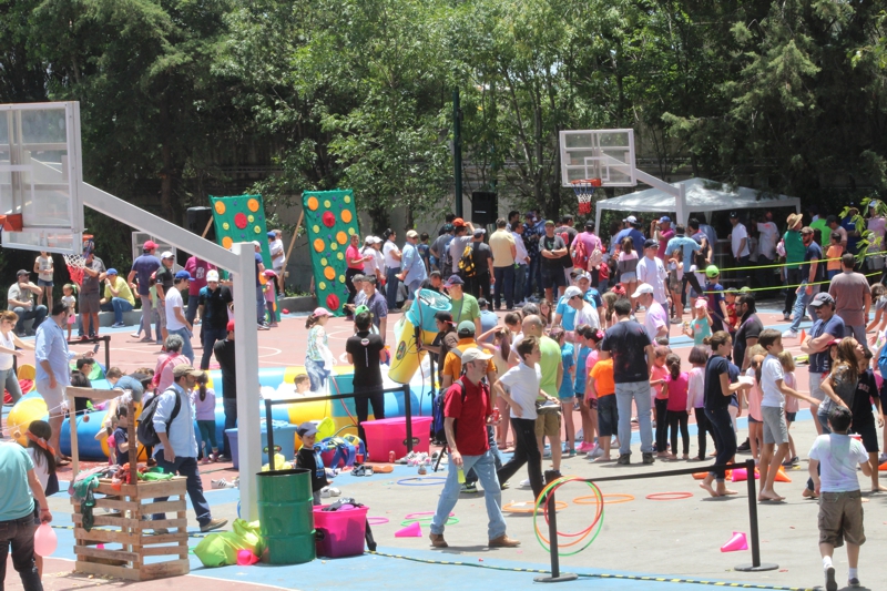 Ir a la Siguiente Foto