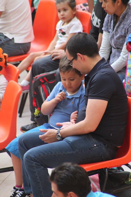 Ir a la Siguiente Foto