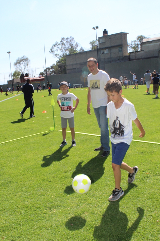 Ir a la Siguiente Foto
