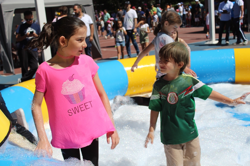 Ir a la Siguiente Foto