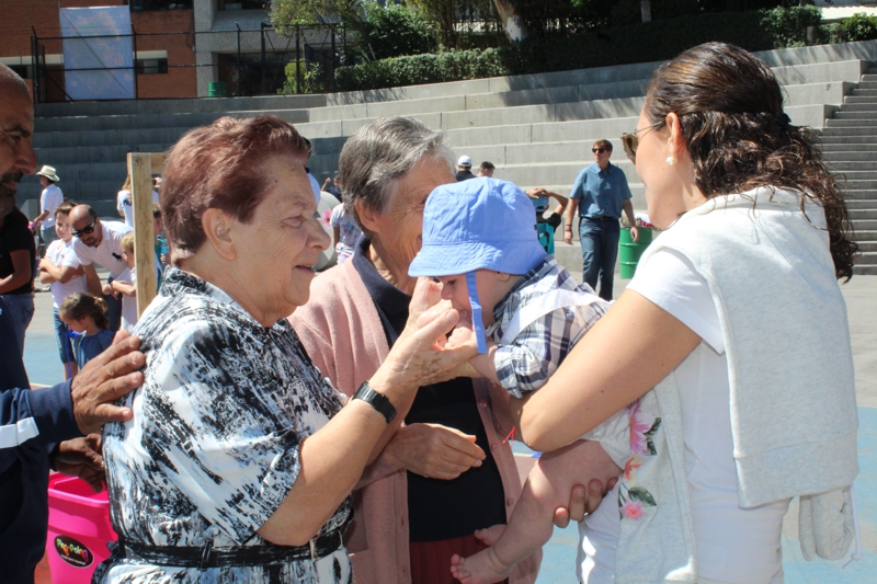 Ir a la Siguiente Foto