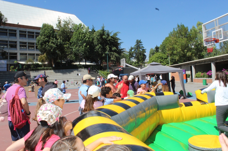 Ir a la Siguiente Foto