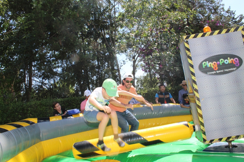 Ir a la Siguiente Foto