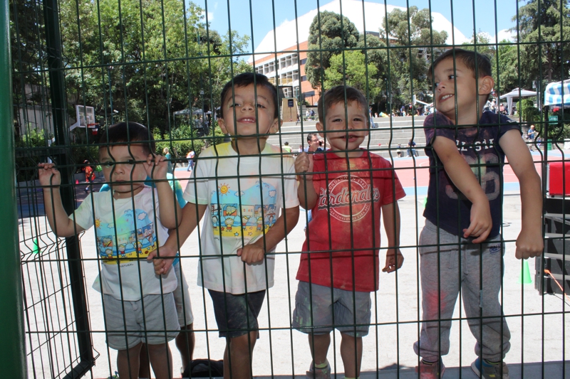 Ir a la Siguiente Foto