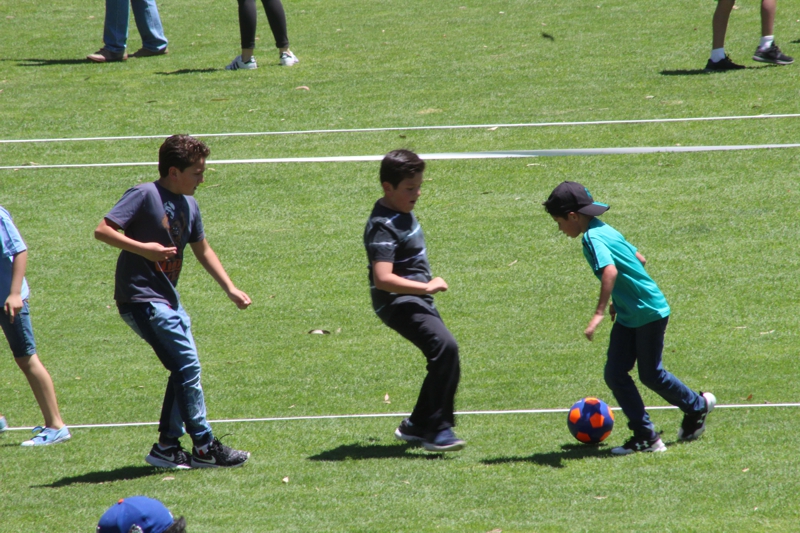 Ir a la Siguiente Foto