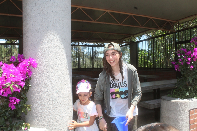 Ir a la Siguiente Foto