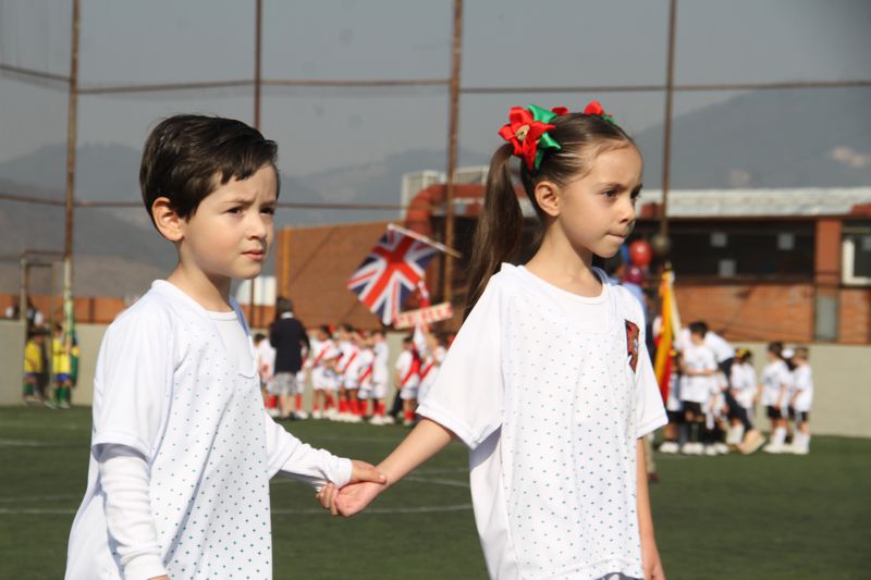 Ir a la Siguiente Foto