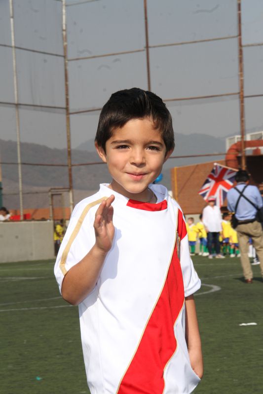 Ir a la Siguiente Foto