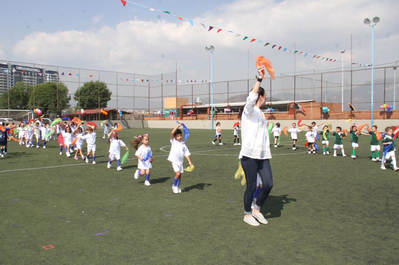 Ir a la Siguiente Foto