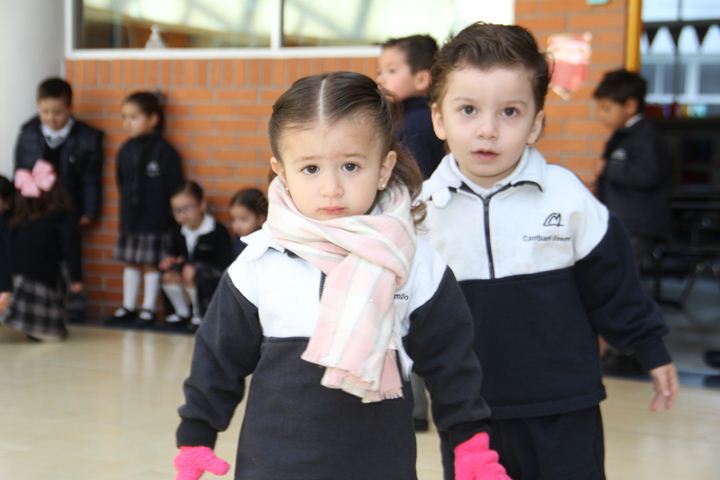 Ir a la Siguiente Foto