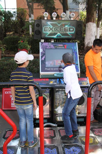 Ir a la Siguiente Foto