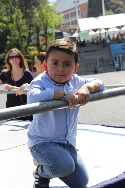 Ir a la Siguiente Foto