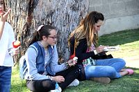 mirafest2018506.jpg