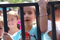 mirafest2018551.jpg