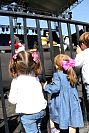 mirafest2018694.jpg