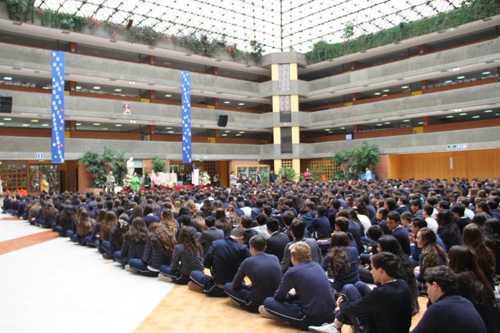 Ir a la Siguiente Foto
