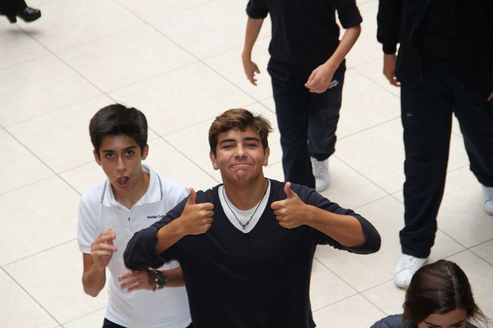 Ir a la Siguiente Foto