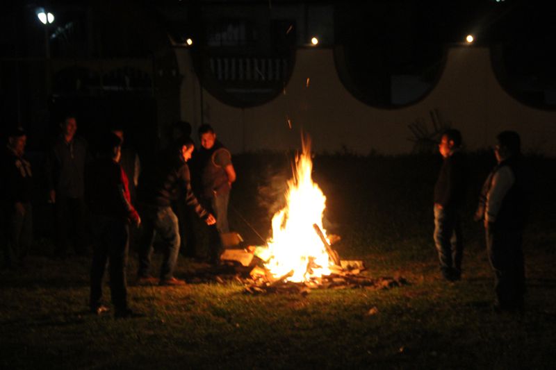 Ir a la Siguiente Foto