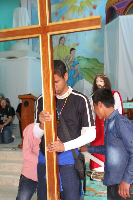 Ir a la Siguiente Foto