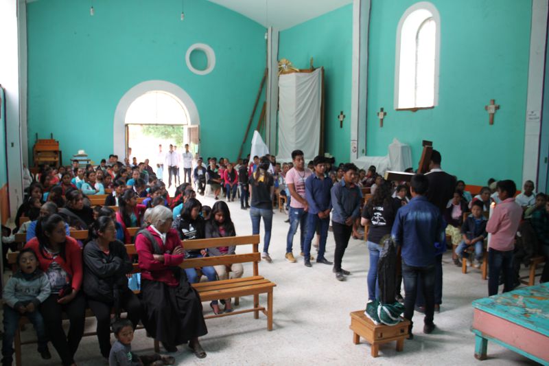 Ir a la Siguiente Foto