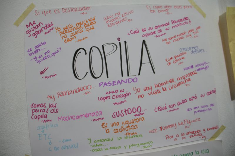 Ir a la Siguiente Foto