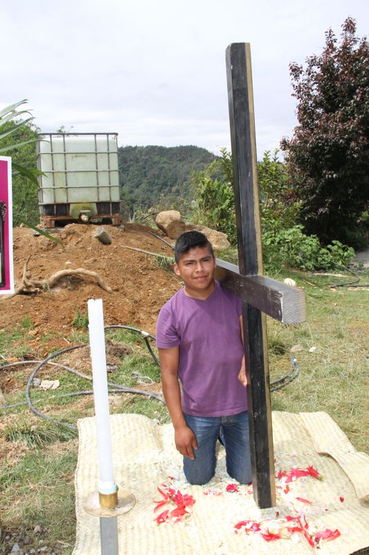 Ir a la Siguiente Foto