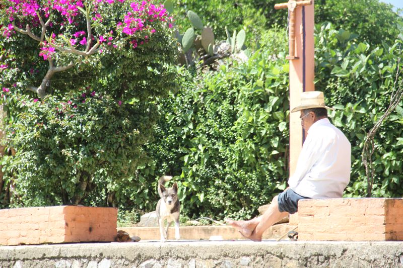 Ir a la Siguiente Foto