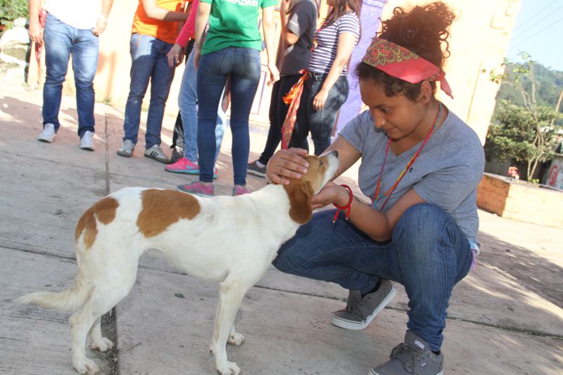 Ir a la Siguiente Foto