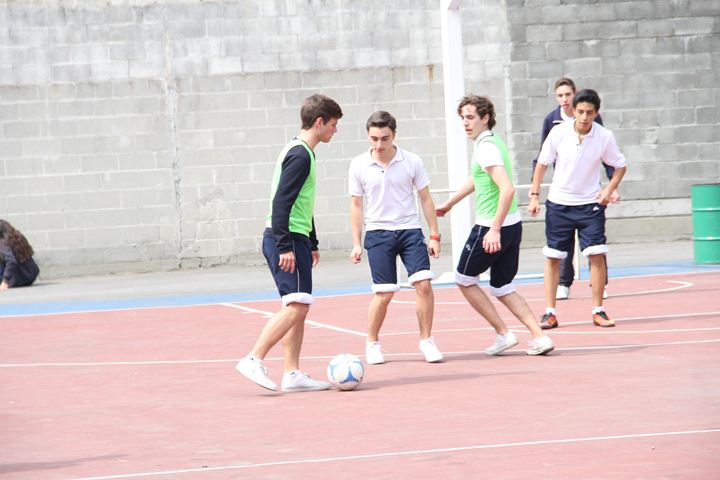 Ir a la Siguiente Foto