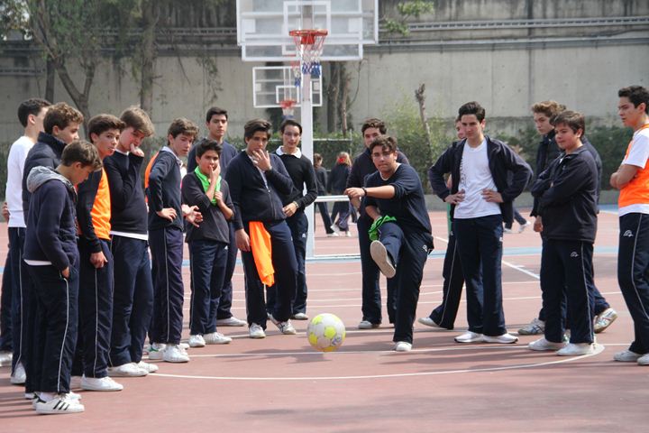 Ir a la Siguiente Foto
