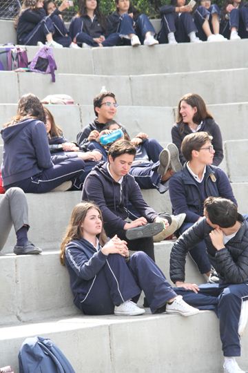 Ir a la Siguiente Foto