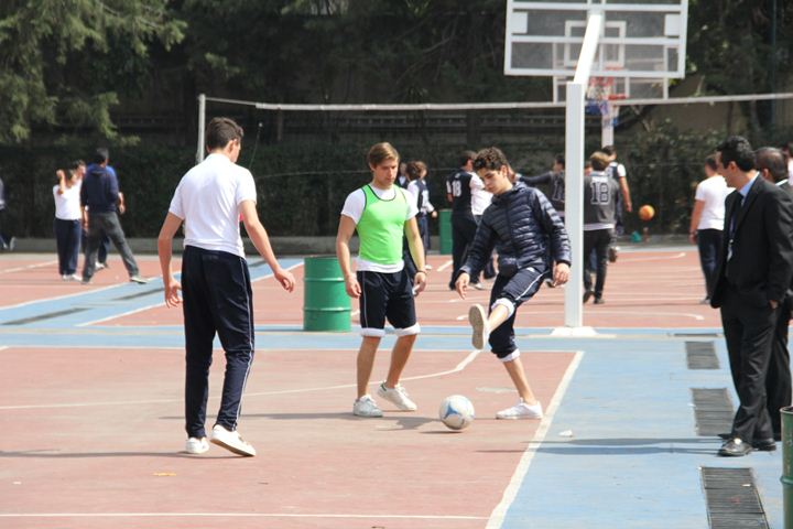 Ir a la Siguiente Foto