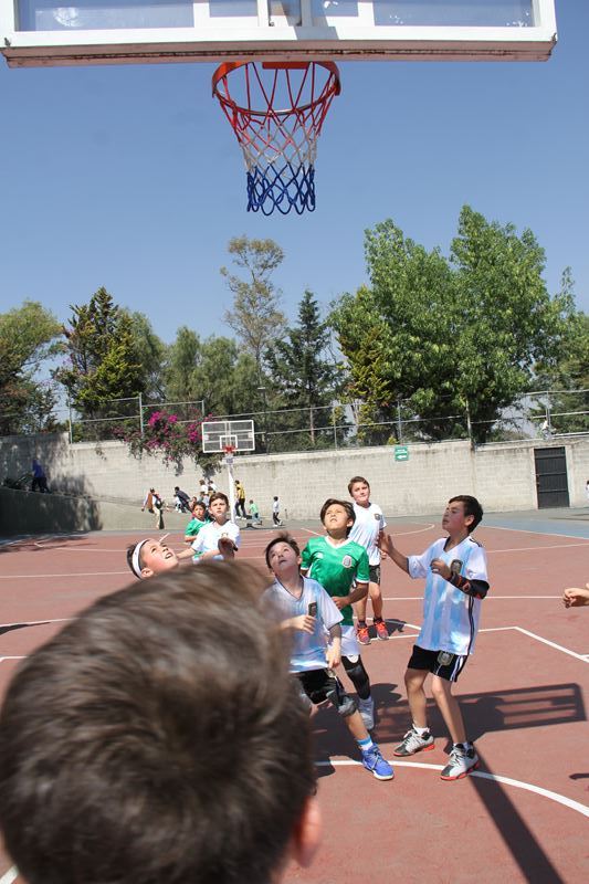 Ir a la Siguiente Foto