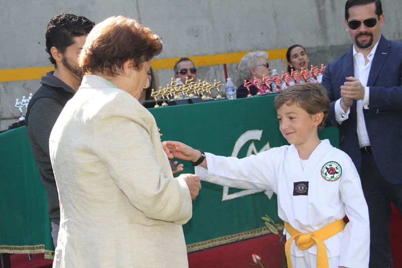 Ir a la Siguiente Foto