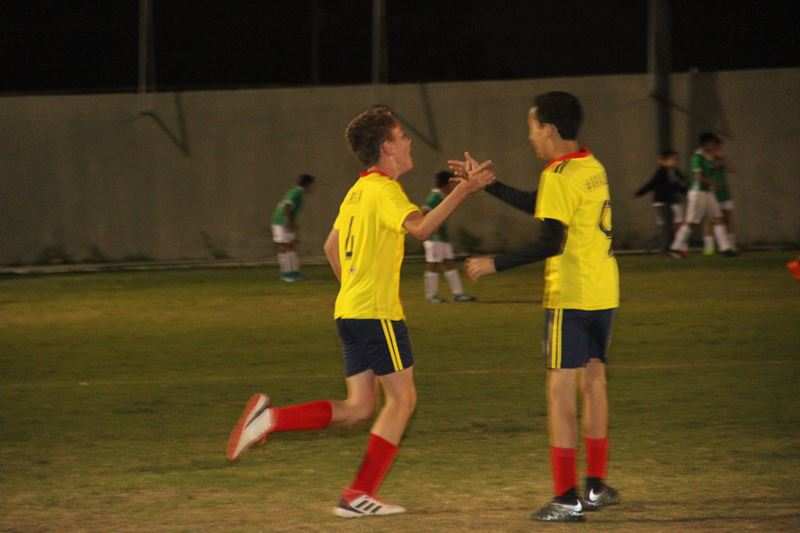 Ir a la Siguiente Foto